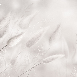 Фрески/Панно ORTOGRAF Vento