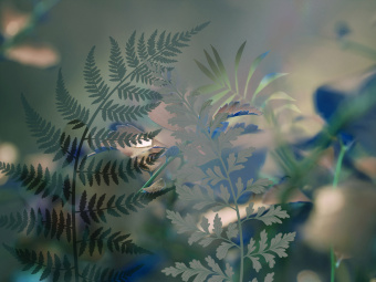 Фотообои Wall Street GREENDAY 22