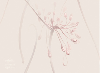 Фрески/Панно Applico