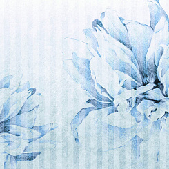  Обои Skinwall Contemporary Collection