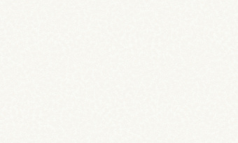 Обои Rasch Bright Whisper