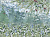 Фотообои Wall Street Forest
