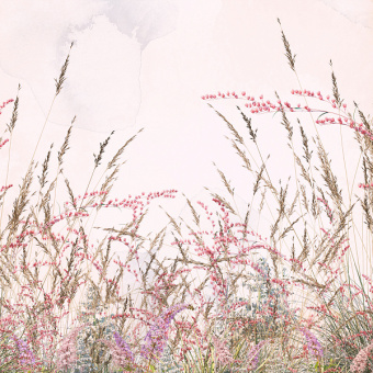 Фотообои Мне обои