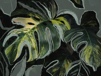 Фотообои Wall Street GREENDAY 22