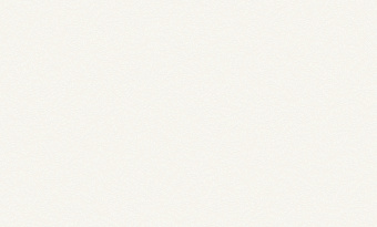 Обои Rasch Bright Whisper