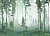 Фрески/Панно ORTOGRAF