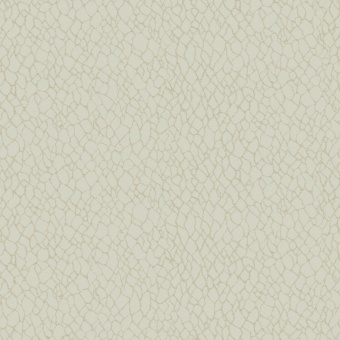 Обои Galerie  Boutique