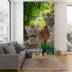 Обои Artmegahome Животные