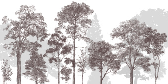 Фотообои Craft Design Lab Креатив