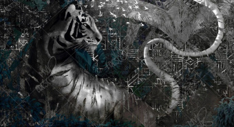 Фотообои My Fresco Культура народов мира