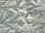Фотообои Wall Street Forest