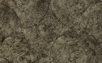 Обои Clarke & Clarke Expressions Performans