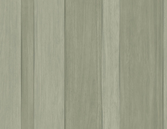 Обои Carl Robinson Edition 18