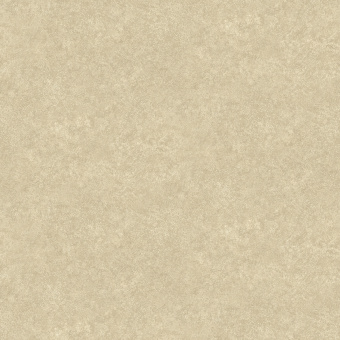 Обои Rasch Modern House