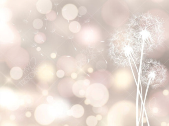 Фотообои My Fresco Природа