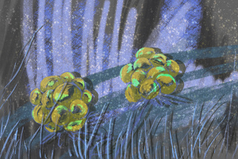 Фотообои Wall Street BRUSH