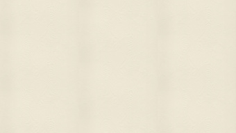 Обои Arte Moooi Wallcovering Green House