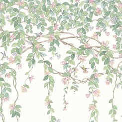 Обои Cole & Son Selection of Hummingbirds