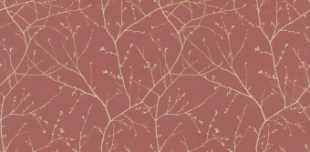 Обои Alessandro Allori Argiano