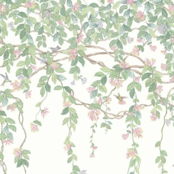 Обои Cole & Son Selection of Hummingbirds