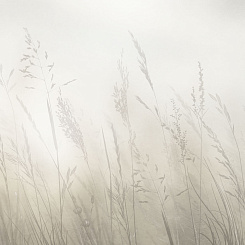 Фрески/Панно ORTOGRAF Vento