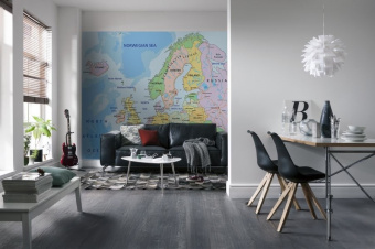 Фотообои Artmegahome Карты