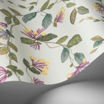 Обои Cole & Son Selection of Hummingbirds