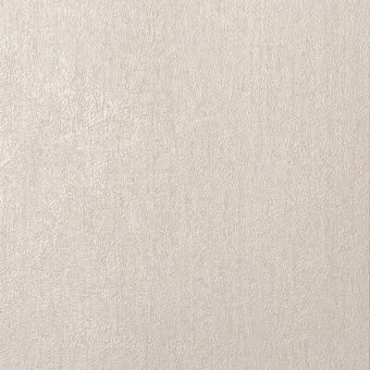 Обои Alessandro Allori Bodega