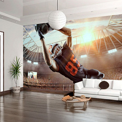 Обои Artmegahome Спорт