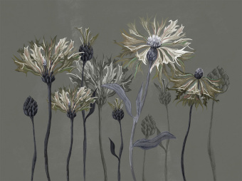 Фотообои Wall Street SUMMERTIME