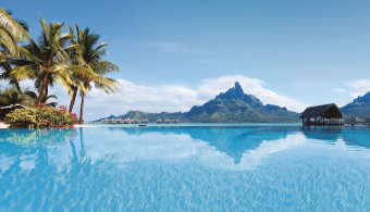 Фрески/Панно ORTOGRAF