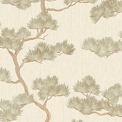 Обои Alessandro Allori Giorgio