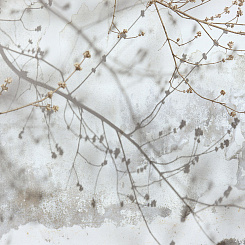 Фотообои Wall Street VETVE 22