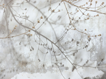 Фотообои Wall Street VETVE 22