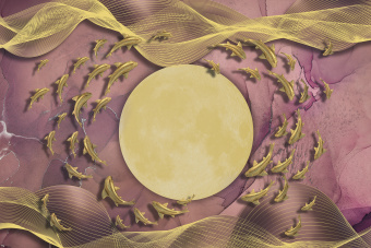 Фрески/Панно ORTOGRAF ArtLine