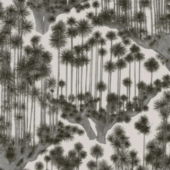 Обои Cole & Son Shinrin YOKU