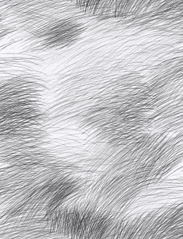 Обои Jannelli&Volpi MARIMEKKO VOL 34