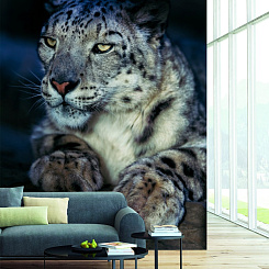 Обои Artmegahome Животные