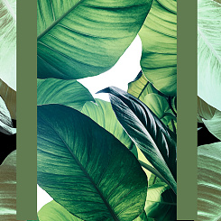 Фотообои Wall Street GREENDAY 22