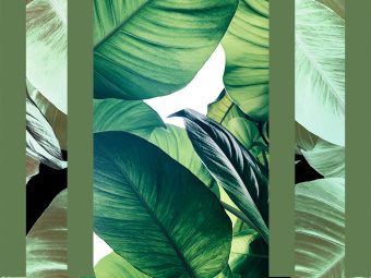 Фотообои Wall Street GREENDAY 22