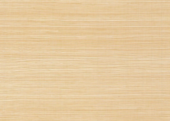 Обои Jannelli&Volpi JV 454 Omnia