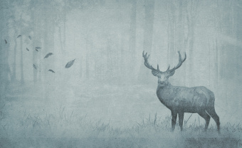  Обои Skinwall Contemporary Collection