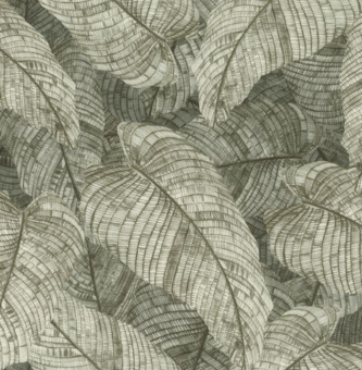 Обои Rasch  Amara