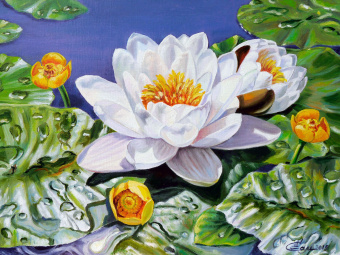 Фрески/Панно ORTOGRAF