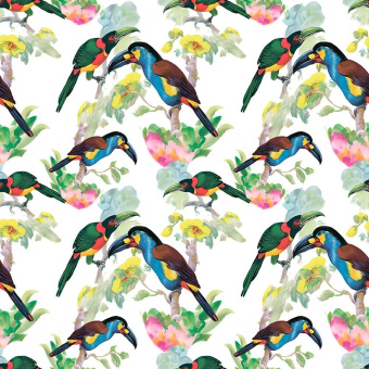 Фотообои Respace Цветы  Борнео