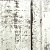 Обои Print 4 Creazioni