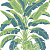 Обои Thibaut Palm Grove