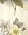 Обои Pierre Frey Boussac Wallpapers I