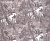 Обои Sandudd Moomin new