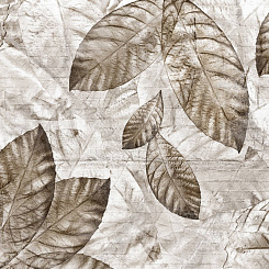  Обои Skinwall Contemporary Collection